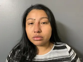 Mugshot of Alejandra Jacqueline Perez Dominguez
