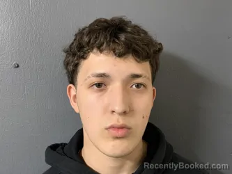 Mugshot of Jael Roberto Rullan Torres