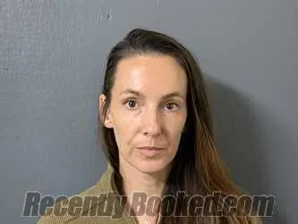 Booking photo from Hardee County, Florida