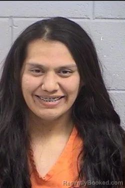 Mugshot of Brandon Henry Van Winkle