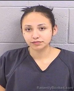 Mugshot of Destiny M Hunter