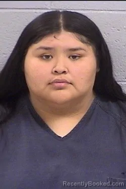 Mugshot of Annaveah Zyna Castillo