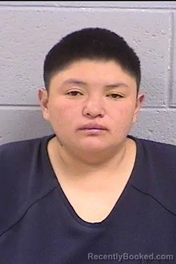 Mugshot of Keisha Mae John