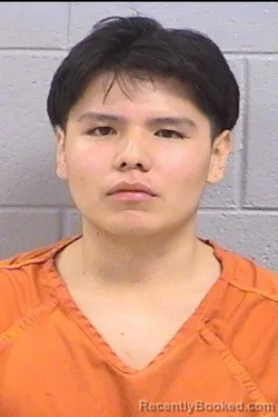 Mugshot of Cameron Irvin Lewis