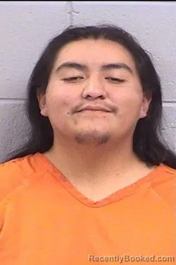 Mugshot of Ladarien Mackeane Willie