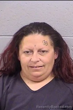 Mugshot of Crystal Nichole Vigil