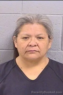 Mugshot of Sherilyn Johnhat