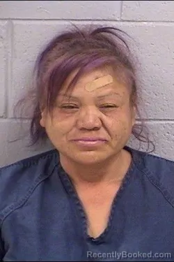 Mugshot of Karen Ann Hungary