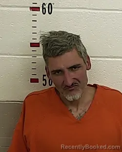 Mugshot of NATHANIEL N LINKER