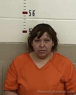 Mugshot of ANYSSA M LUCERO