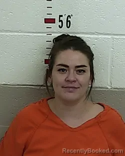 Mugshot of DEILINA BUSTOS