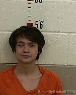 Mugshot of JOSHUA BACA