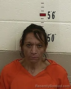 Booking photo from San Miguel County, New Mexico