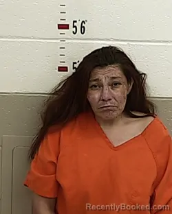 Mugshot of JESSICA LOPEZ