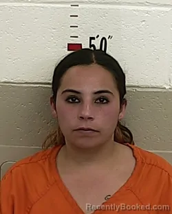 Mugshot of ALEXIS ALIREZ