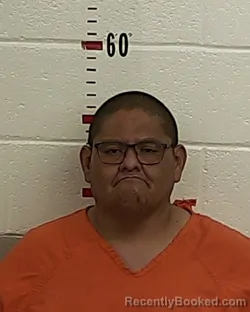 Mugshot of CHEE WILSON