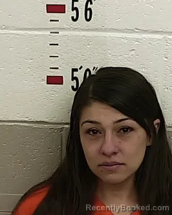 Booking photo from San Miguel County, New Mexico