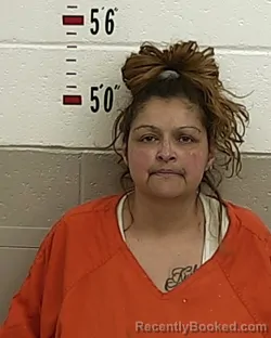 Mugshot of CAROL ABREU