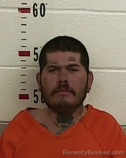 Mugshot of CHRISTOPHER MARTINEZ