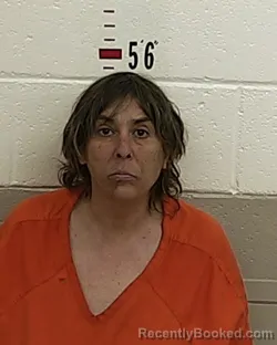 Mugshot of ROBIN MAES