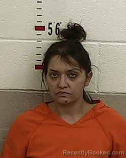 Mugshot of CANDACE K ORTEGA