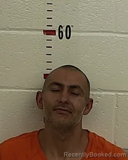 Mugshot of JESSIE SILVA