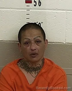 Mugshot of ROSANNA MEDINA