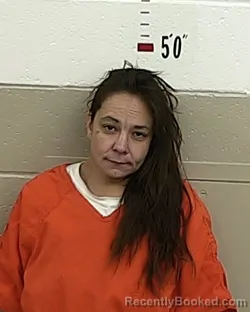 Mugshot of DOLORES SALAZAR