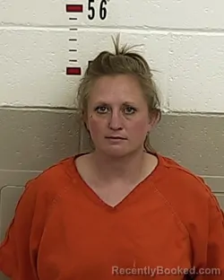 Mugshot of JESSICA HASKIN