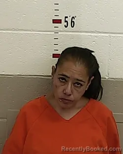 Mugshot of RENEE SALAZAR