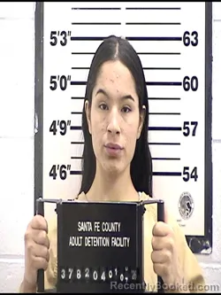 Mugshot of BRIANNA EMILEE ELIZABETH WILLEBRAND