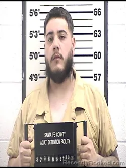 Mugshot of ELIAS S CALZADILLAS