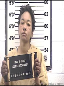 Mugshot of ELLENA LOPEZ