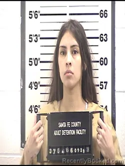 Mugshot of ELYSIANNA DOMINQUE MARTINEZ