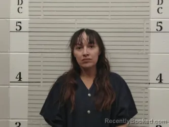 Mugshot of Antoinette Jaramillo