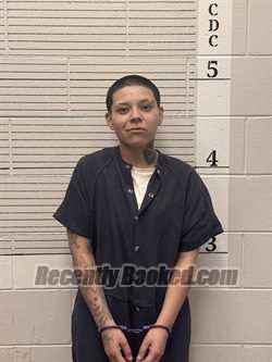 Booking photo from Socorro County, New Mexico