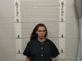 Booking photo from Socorro County, New Mexico