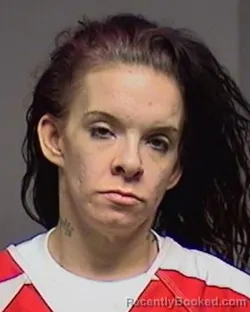 Mugshot of Amanda Marie Holcomb