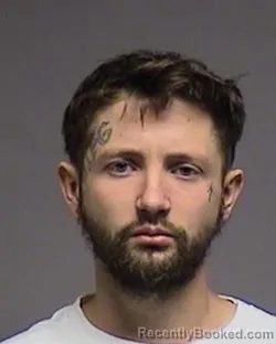 Mugshot of WALTER SIDNEY YATES