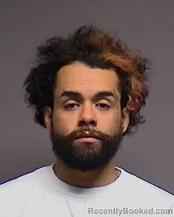Mugshot of Christopher Norbert Falu