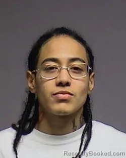 Mugshot of Brianna Elaine Nowlin