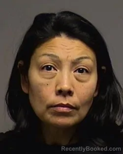 Mugshot of Dana Elaine Dioguardi