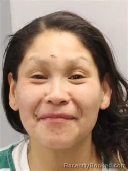 Mugshot of CARA LEIGH SKYE