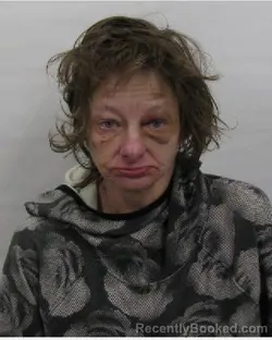 Mugshot of Heather Babyak