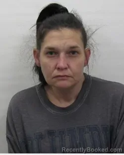 Mugshot of Lyndsi S Larson
