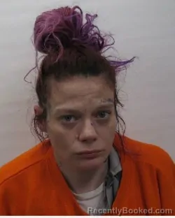 Mugshot of Amanda L Penhollow