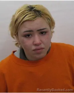 Booking photo from Chautauqua County, New York