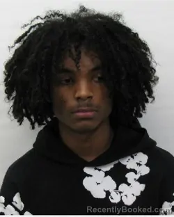 Mugshot of Narade G Gumbs