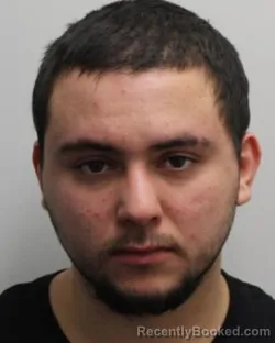 Booking photo from Chemung County, New York