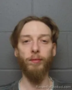 Mugshot of DAVID C BONNIVILLE